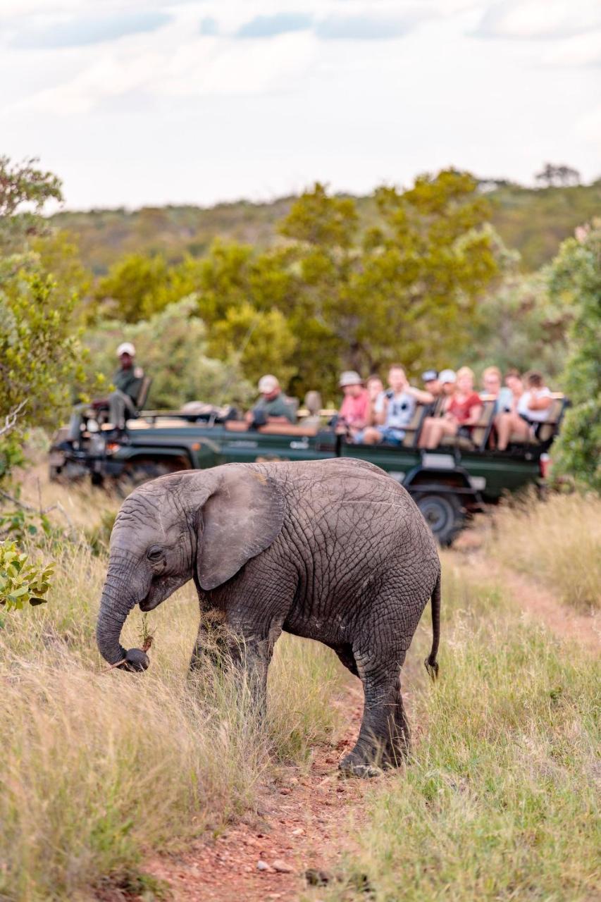 Luxe tent Shindzela Tented Camp Timbavati Game Reserve