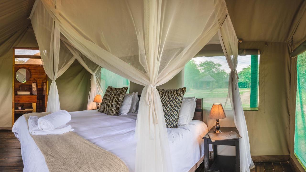 Shindzela Tented Camp Timbavati Game Reserve