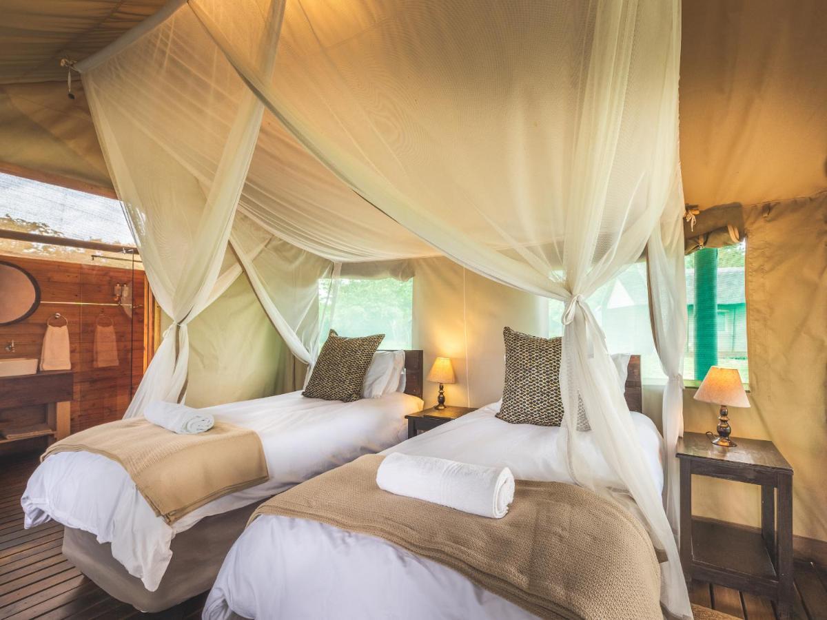 Shindzela Tented Camp 3* Timbavati Game Reserve