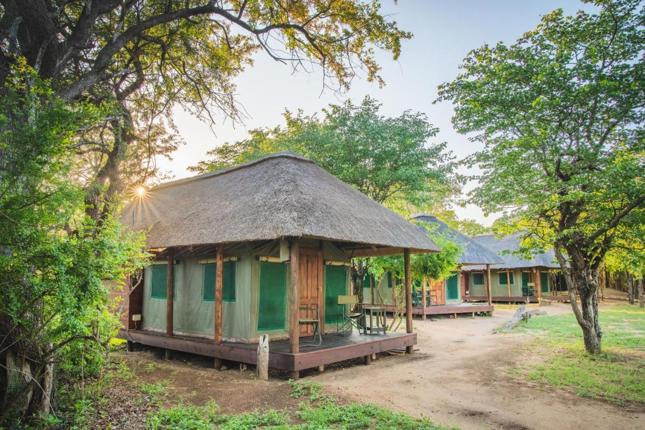 Shindzela Tented Camp 3* Timbavati Game Reserve