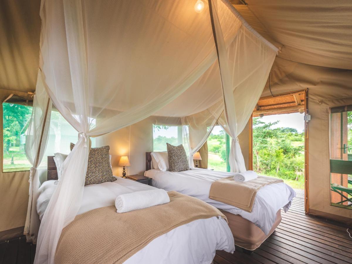 Shindzela Tented Camp Timbavati Game Reserve